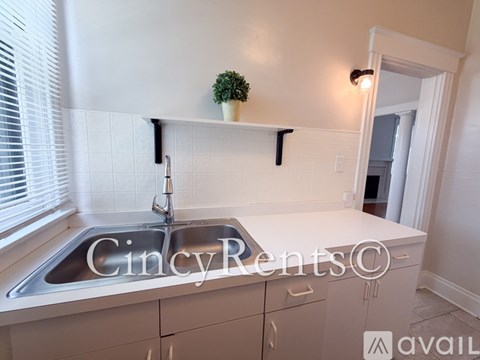 A kitchen with a sink and a plant on the counter.