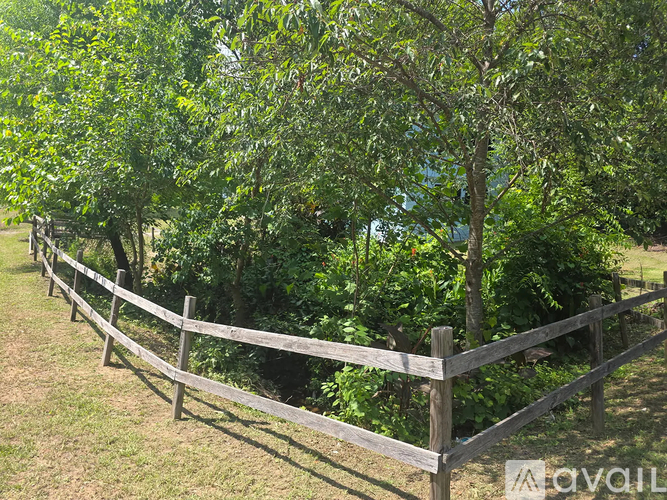 A wooden fence runs along a grassy area with trees in the background.