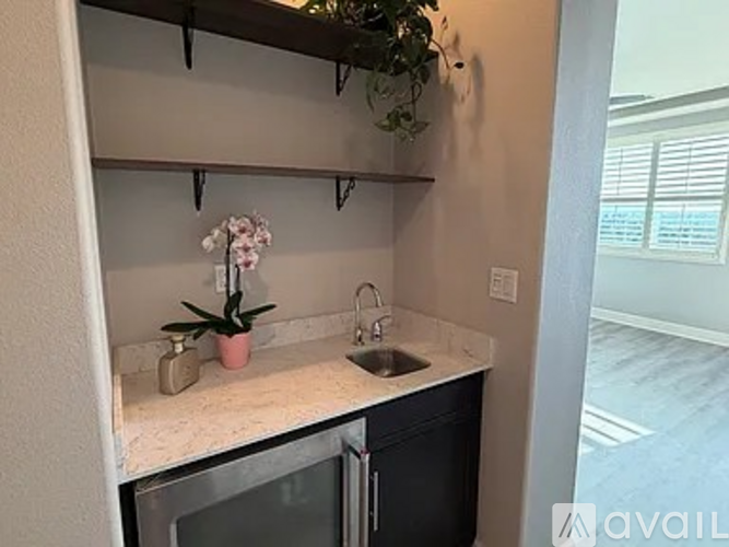 A kitchen with a sink and a plant on the counter.