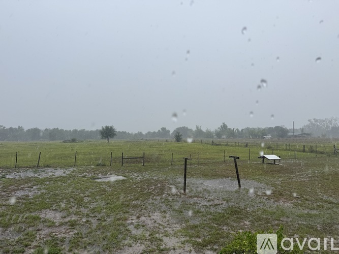 Raindrops are falling on a grassy field.