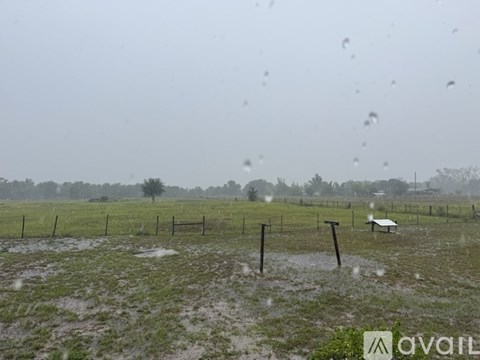 Raindrops are falling on a grassy field.