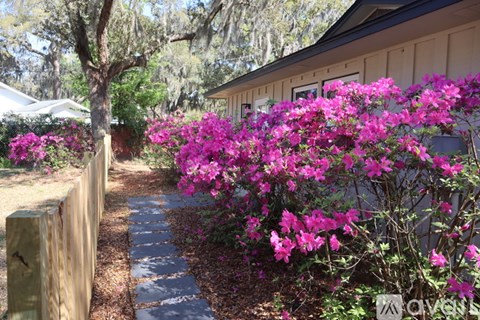 A garden with a wooden fence and pink flowers.