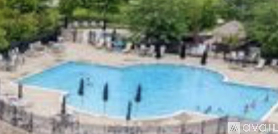 A large outdoor swimming pool surrounded by trees and umbrellas.
