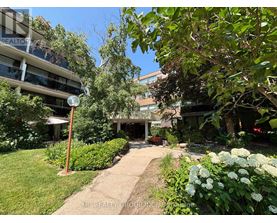 A garden pathway leads to a building with a sign that reads "REALTOR".