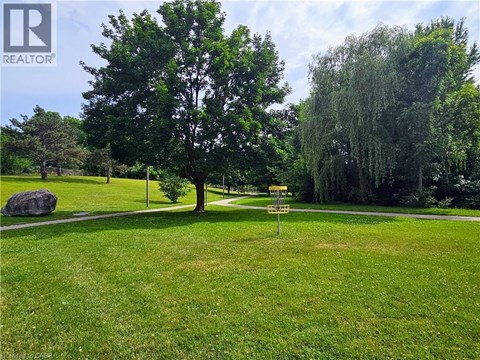 A green grassy field with a tree and a sign.