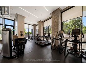 A gym with treadmills, exercise bikes, and other equipment.