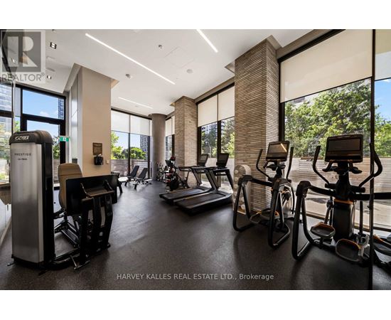 A gym with treadmills, exercise bikes, and other equipment.