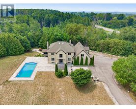 A large house with a pool surrounded by trees.