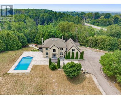 A large house with a pool surrounded by trees.