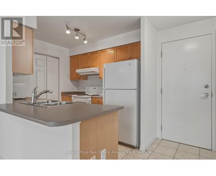 A kitchen with a white fridge, sink and cabinets.