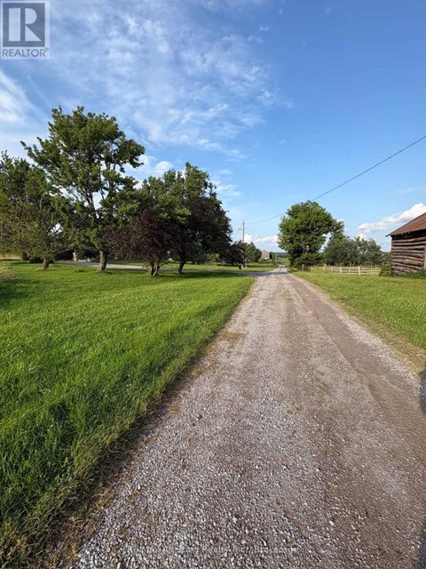 A gravel road stretches into the distance with trees on either side.
