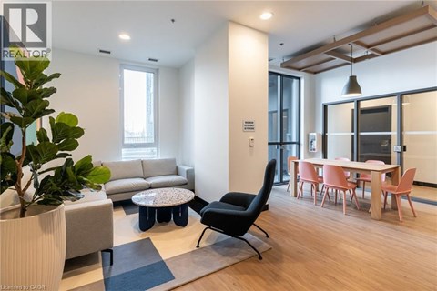 A living room with a grey sofa, a black chair, a round table with a plant on it, and a dining table with chairs around it.