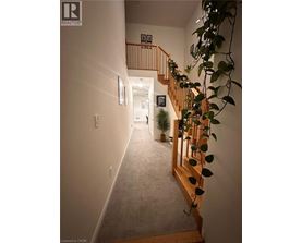 A hallway with a staircase and a plant on the side.