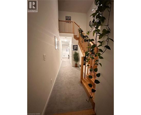 A hallway with a staircase and a plant on the side.