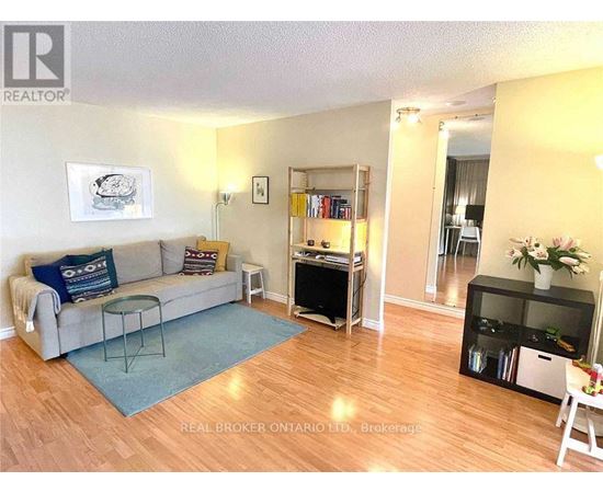 A living room with a grey couch and a blue rug.