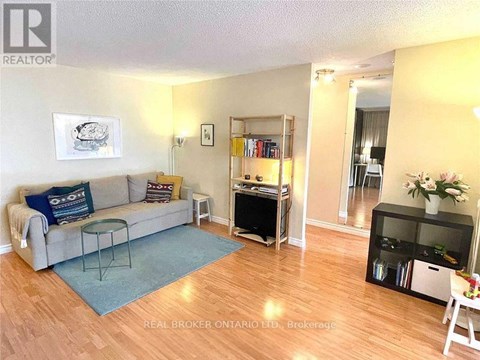A living room with a grey couch and a blue rug.