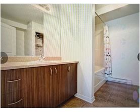 A bathroom with wooden cabinets and a shower curtain.