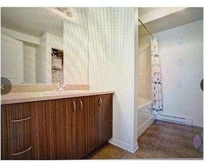 A bathroom with wooden cabinets and a shower curtain.