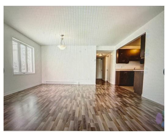 133 Rue Guy-Lafleur 3 Beds Apartment, Condo, Home for Rent - Photo gallery 4