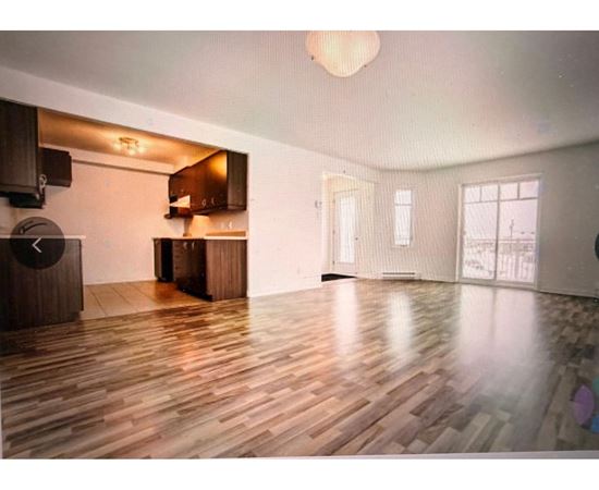 133 Rue Guy-Lafleur 3 Beds Apartment, Condo, Home for Rent - Photo gallery 5
