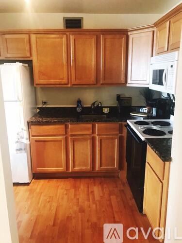 1960 North Lincoln Park West Studio Condo for Rent - Photo gallery 1