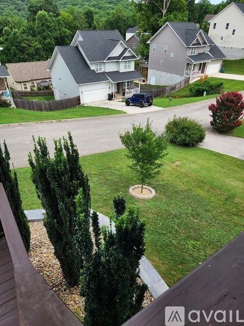 3923 Mountain Vista Road 3 Beds Single Family Home for Rent - Photo gallery 4