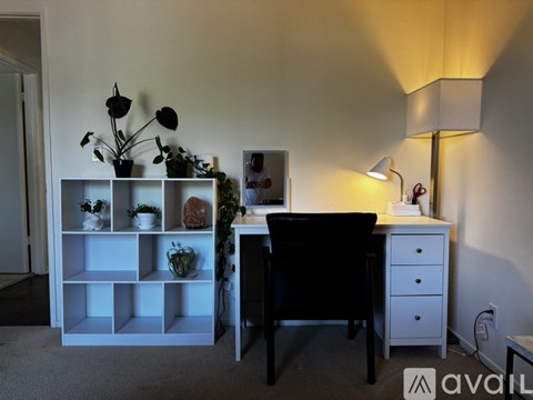 A white shelf with plants and a black chair in front of a desk with a lamp.