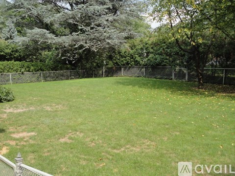 A backyard with a fence and trees.
