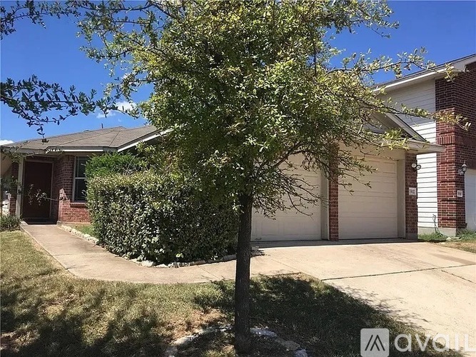 A tree in front of a house with a garage door.