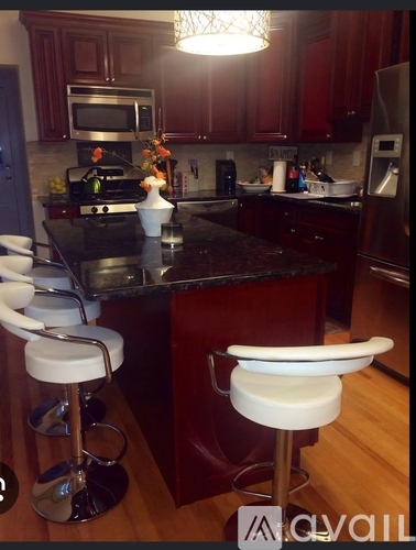 4543 Manayunk Avenue 4 Beds Single Family Home for Rent - Photo gallery 3