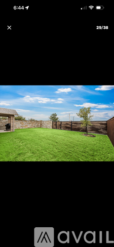 A grassy backyard with a wooden fence and a tree.