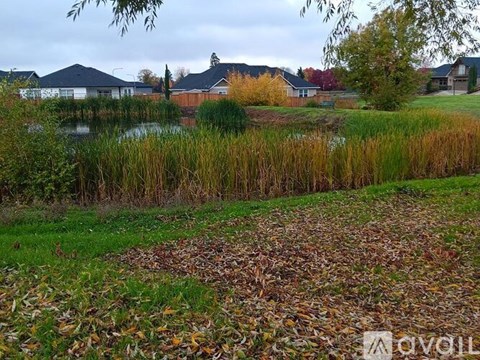 A grassy area with fallen leaves in the foreground and houses in the background.