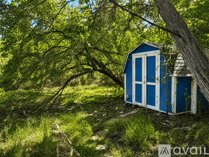 A small blue shed sits in a grassy field with a tree branch in front of it.