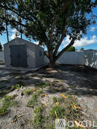 A shed sits in a backyard with a tree in front of it.