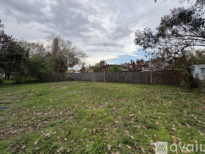 A backyard with a fence and trees.