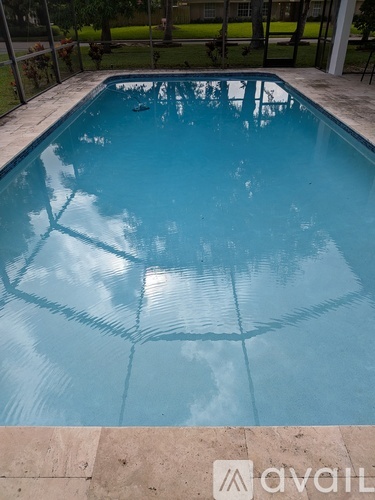 A small pool with a tiled edge and a concrete border.