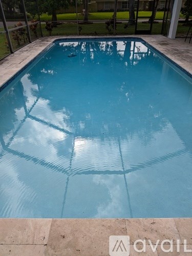 A small pool with a tiled edge and a concrete border.