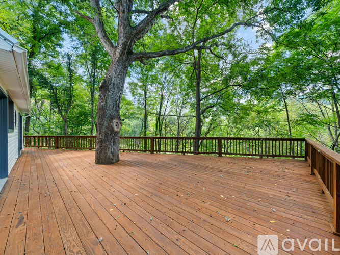1896 North Carolina 80 2 Beds Single Family Home for Rent - Photo gallery 2