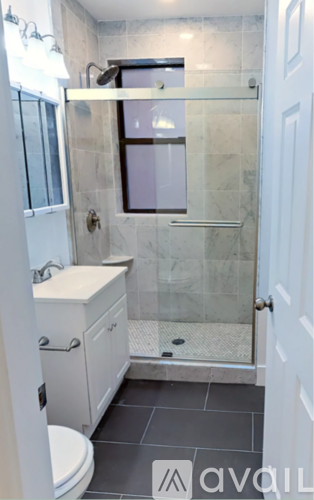 A bathroom with a walk-in shower and a toilet.