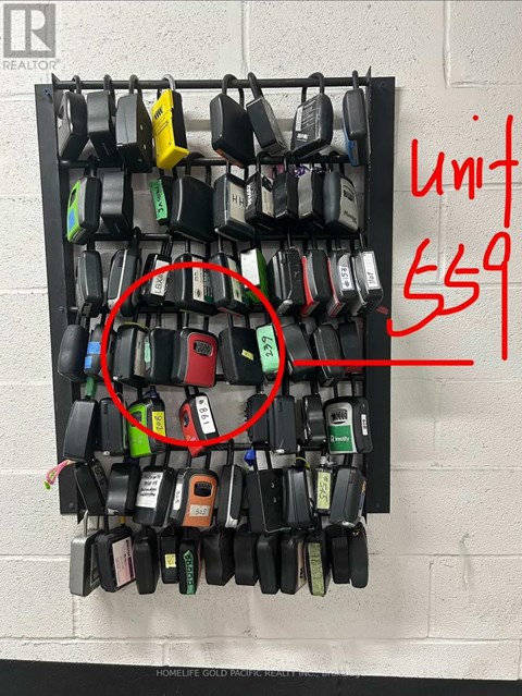 A wall of padlocks with one highlighted and labeled Unit 659.