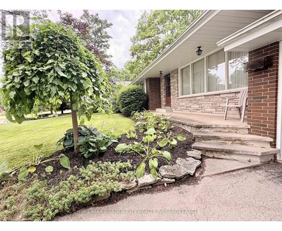 A garden with a tree and plants in front of a house.