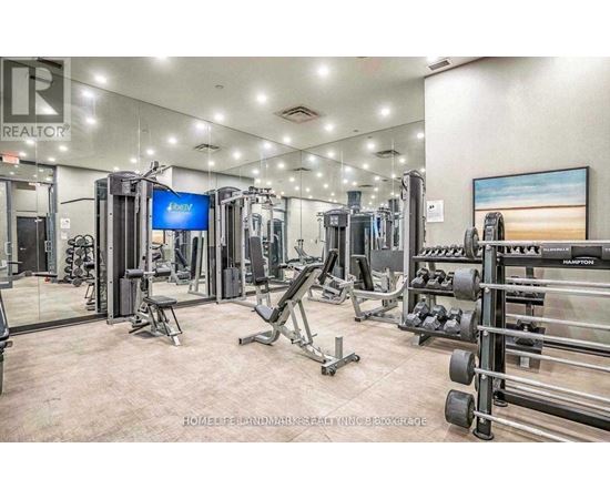 A well-equipped gym with various exercise machines and weights.