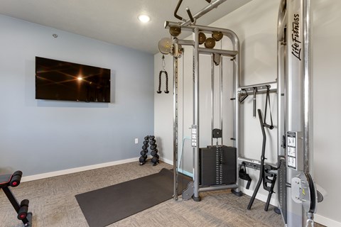 A home gym with a variety of equipment including a treadmill, weights, and a television.