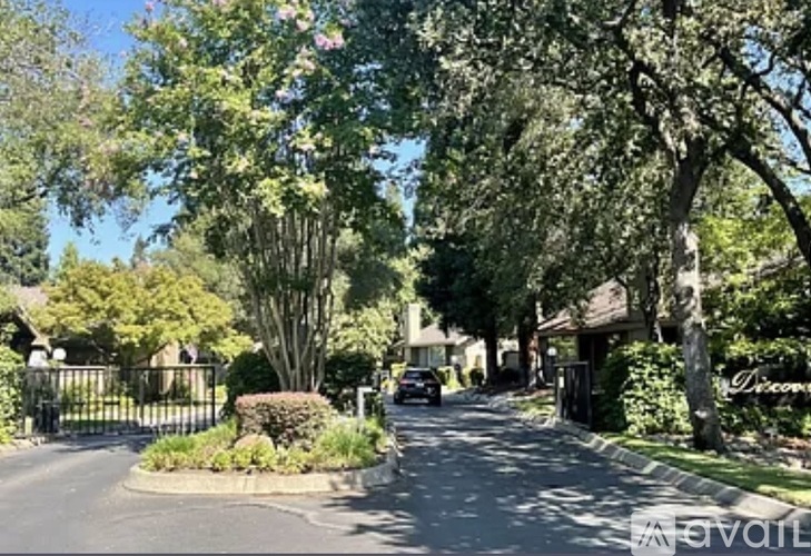 A tree-lined street with a gated entrance.
