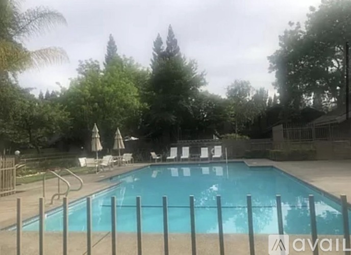 A pool surrounded by trees and a fence.
