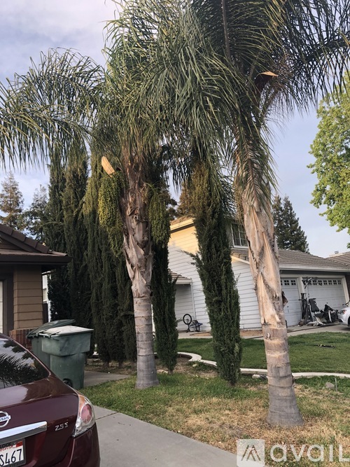 4637 Castle Cary Ln 3 Beds Single Family Home for Rent - Photo gallery 1