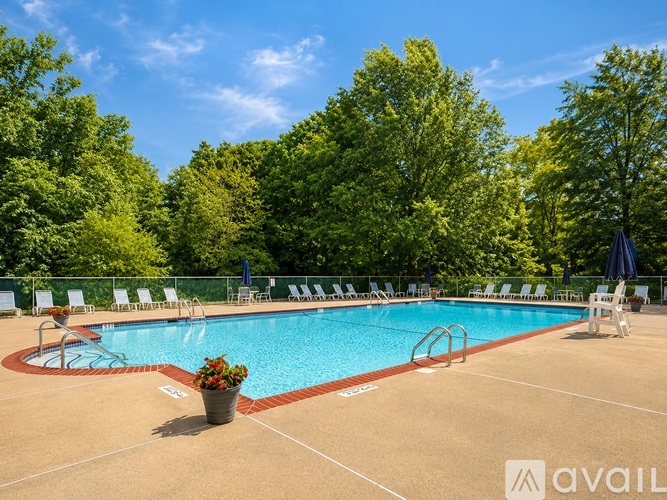 A pool surrounded by trees and chairs.