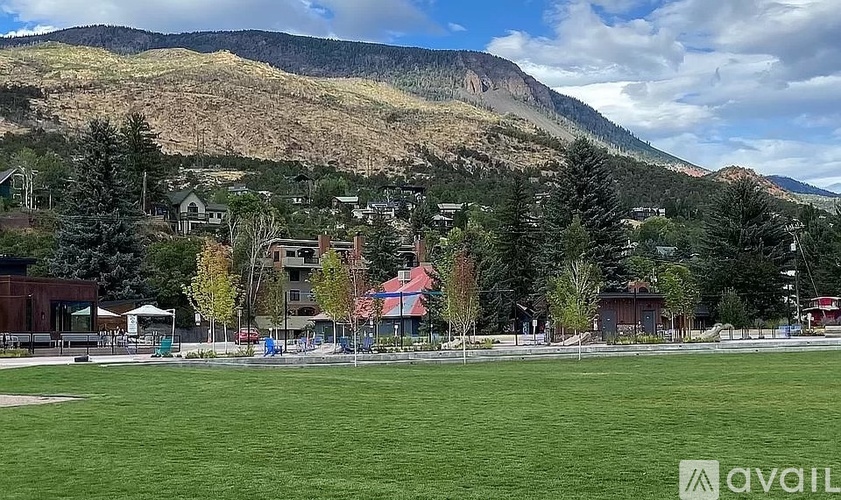 A grassy field with a mountain in the background.