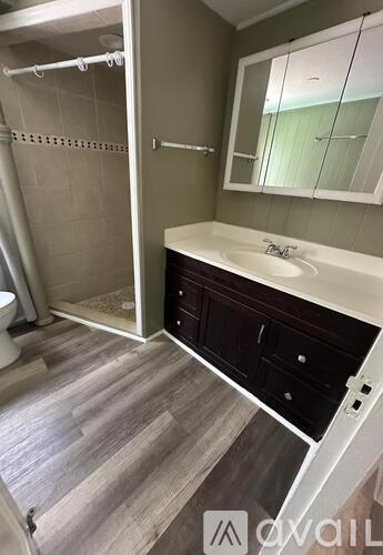 A bathroom with a sink, mirror, and shower.