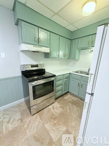 A kitchen with green cabinets and a stove top oven.